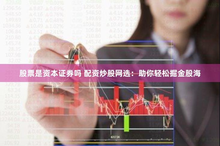 股票是资本证券吗 配资炒股网选：助你轻松掘金股海