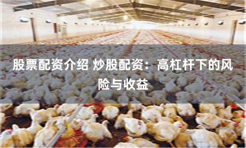 股票配资介绍 炒股配资：高杠杆下的风险与收益